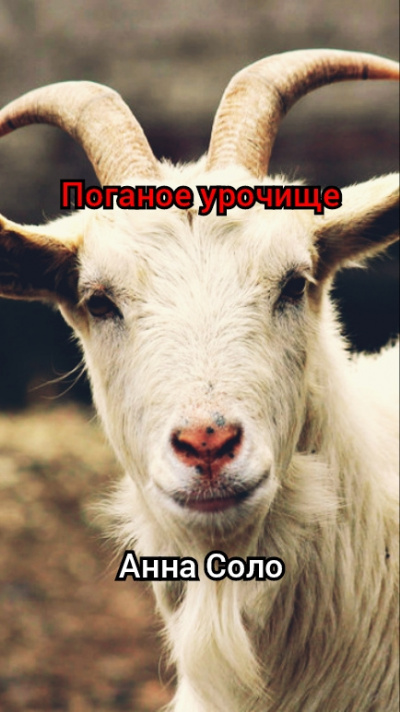 Соло Анна - Поганое урочище