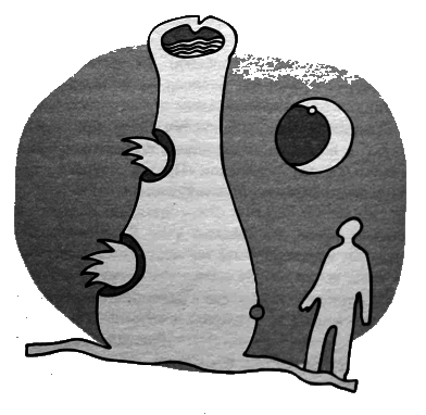 Любить с открытыми глазами Любить с открытыми глазами