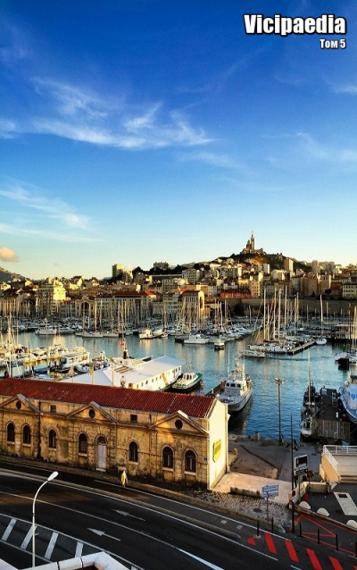Коллектив авторов - Vicipaedia. Том 5