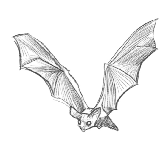 Самая необычная дружба Самая необычная дружба