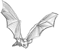 Самая необычная дружба Самая необычная дружба