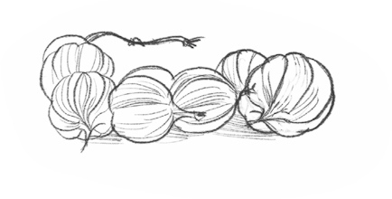 Самая необычная дружба