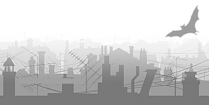 Драконье лето Драконье лето