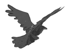 Чинители Чинители