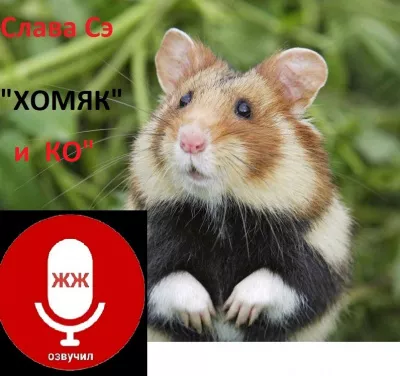 Сэ Слава – Хомяк  и КО