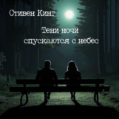 Кинг Стивен – Тени ночи спускаются с неба