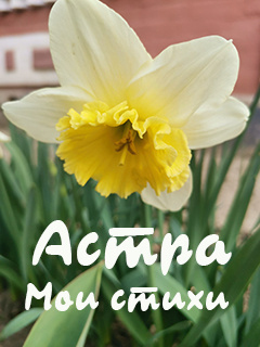 Астра – Мои стихи