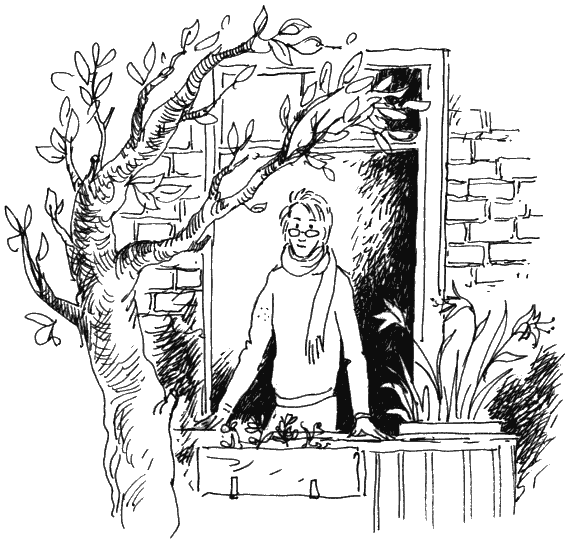 Ученик волшебника Ученик волшебника