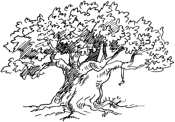 Босая принцесса Босая принцесса