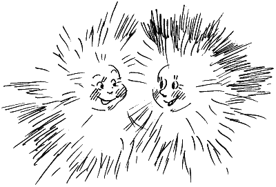 Босая принцесса Босая принцесса