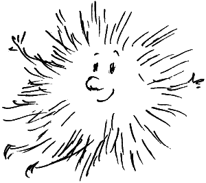 Босая принцесса Босая принцесса