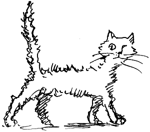 Замок Чёрной Королевы Замок Чёрной Королевы