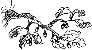 Замок Чёрной Королевы Замок Чёрной Королевы