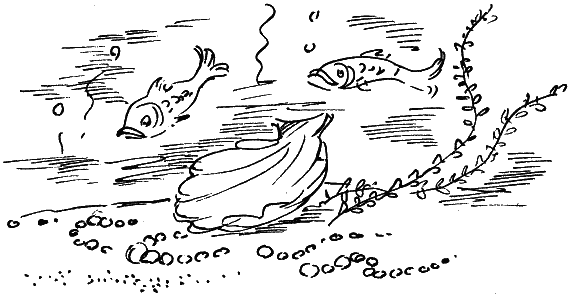 Королевство Семи озёр Королевство Семи озёр