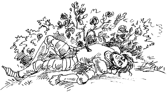 Королевство Семи озёр Королевство Семи озёр