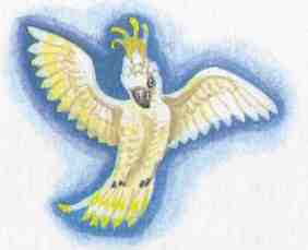 Кот в сапогах ищет клад Кот в сапогах ищет клад