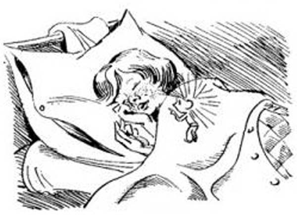 Оставь окно открытым Оставь окно открытым