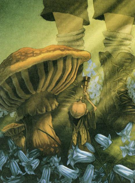 Каменное сердце Каменное сердце