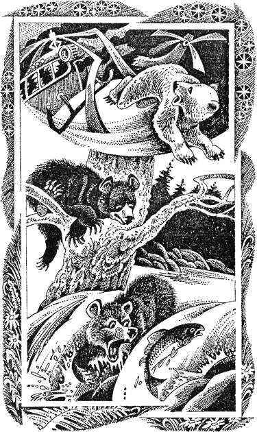 Первые испытания Первые испытания