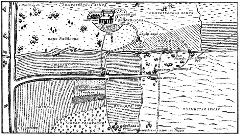 Вайдекр, или Темная страсть Вайдекр, или Темная страсть