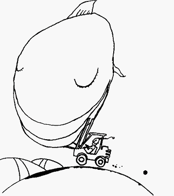 Курт и рыба Курт и рыба