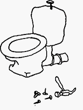 Курт и рыба