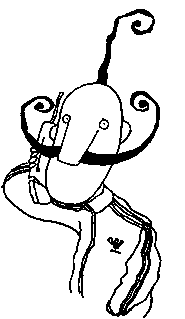 Курт звереет Курт звереет