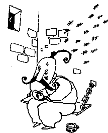 Курт звереет Курт звереет