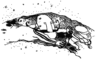 Курт, quo vadis? Курт, quo vadis?