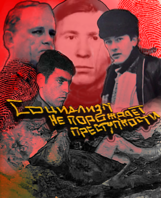 Ракитин Алексей – Социализм не порождает преступности... (серийная преступность в СССР: попытка историко-криминалистического анализа)