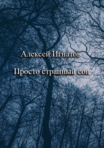 Игнатов Алексей – Просто странный сон