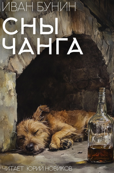Бунин Иван – Сны Чанга