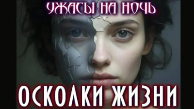 Димерски Мэтт – Осколки жизни