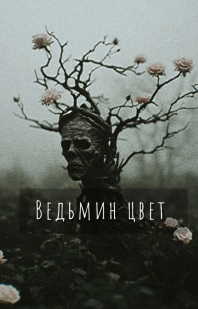 Шитова Екатерина – Ведьмин цвет