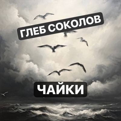Соколов Глеб – Чайки. Часть 2