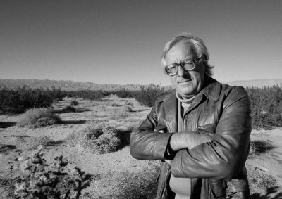 Брэдбери Рэй – Диковинное диво