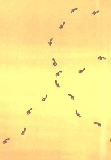 Пешком над облаками