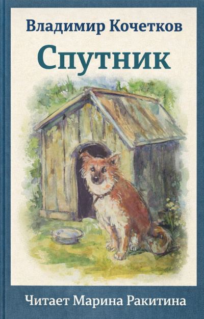 Кочетков Владимир – Спутник