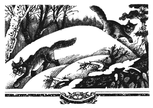 Голоса в ночи Голоса в ночи