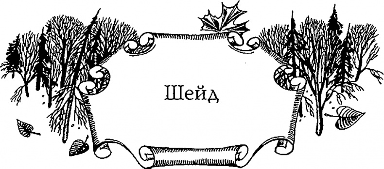 Серебряное крыло Серебряное крыло