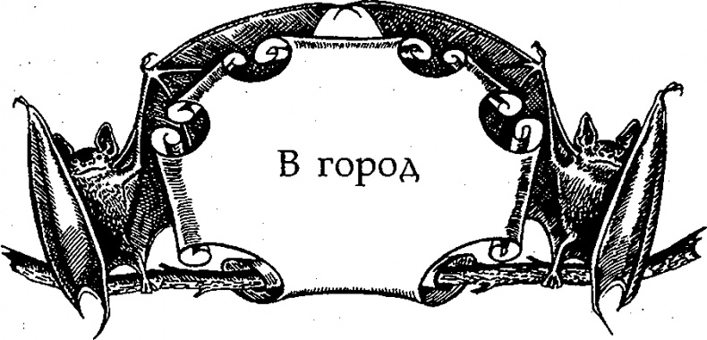 Серебряное крыло Серебряное крыло