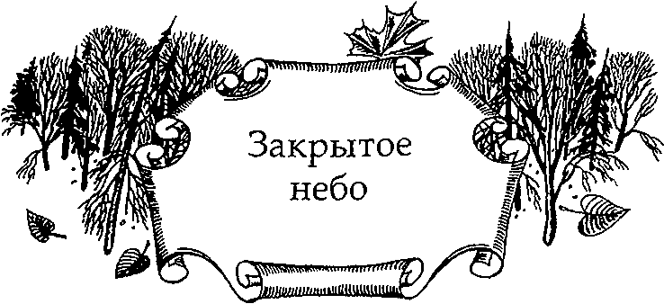 Серебряное крыло Серебряное крыло