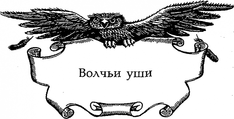 Серебряное крыло Серебряное крыло