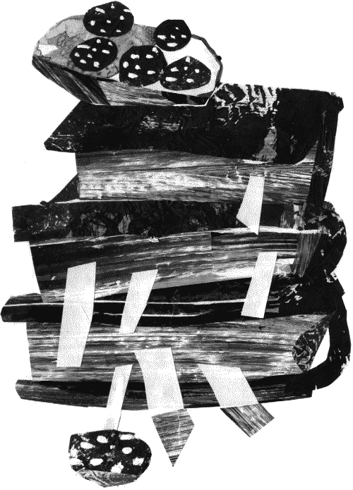 Гимназия №13 Гимназия №13