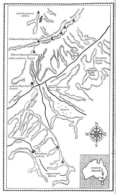 Серебряный конь Серебряный конь