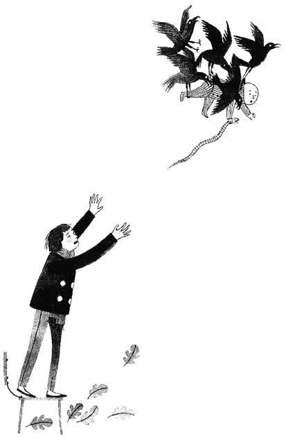 Дикий лес Дикий лес