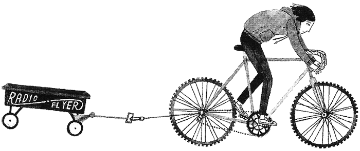 Дикий лес Дикий лес