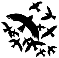 Дикий лес Дикий лес