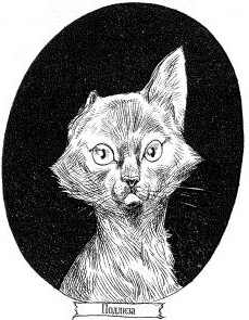 Наследник пиратов Наследник пиратов