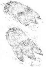 Наследник пиратов Наследник пиратов